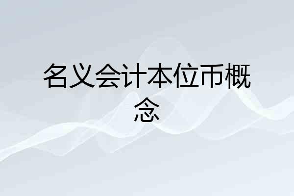 名义会计本位币概念
