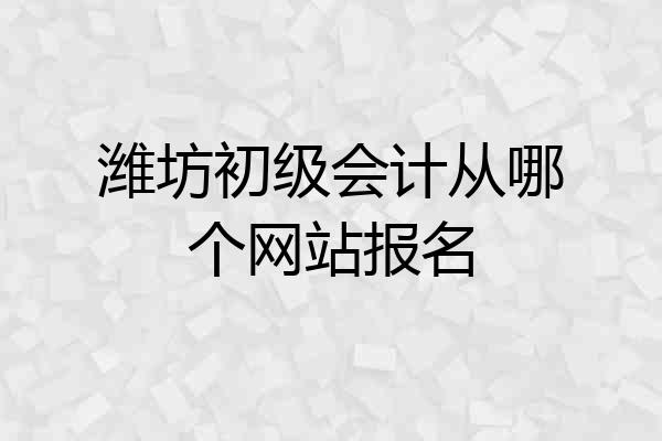 潍坊初级会计从哪个网站报名