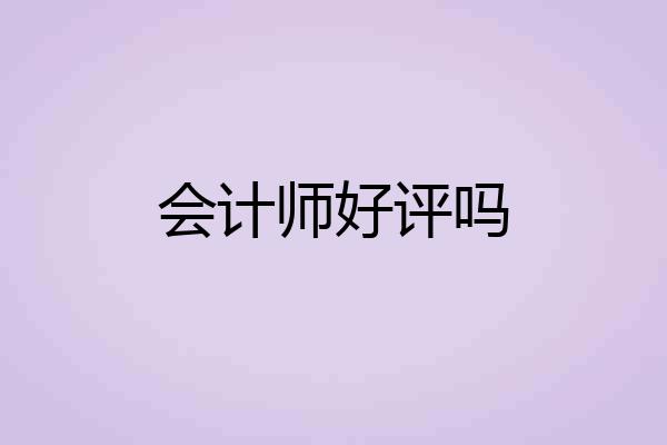 会计师好评吗