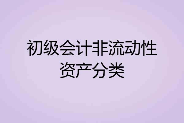 初级会计非流动性资产分类