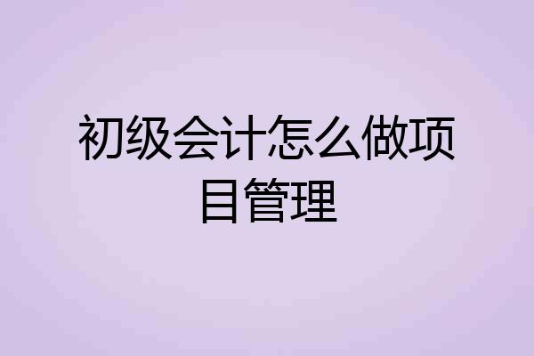 初级会计怎么做项目管理
