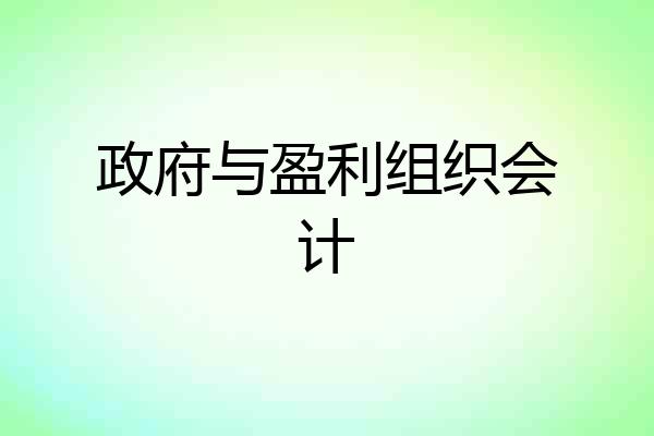 政府与盈利组织会计