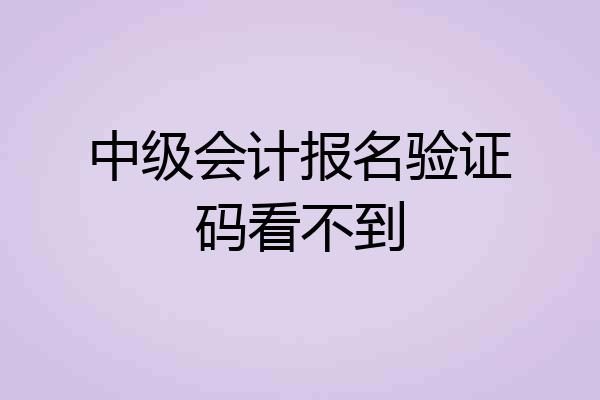 中级会计报名验证码看不到