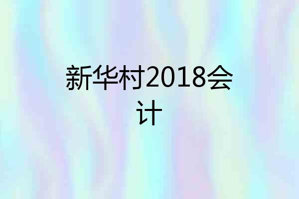 新华村2018会计