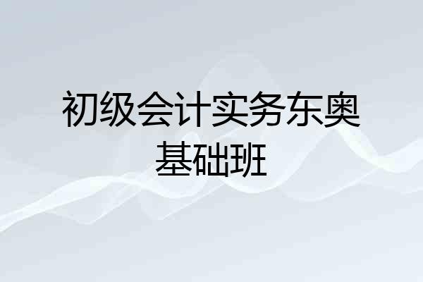 初级会计实务东奥基础班