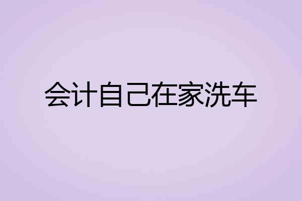 会计自己在家洗车