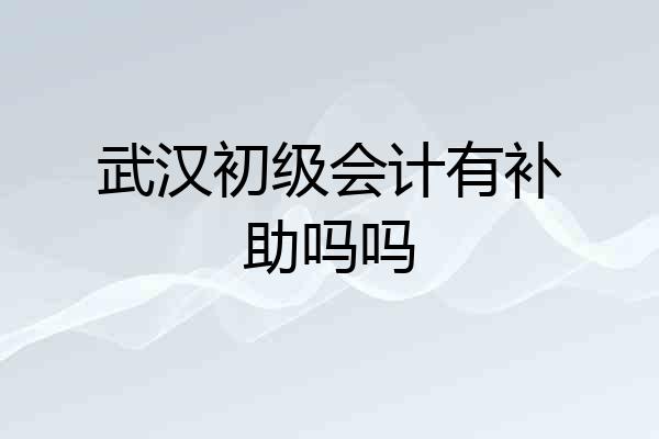 武汉初级会计有补助吗吗
