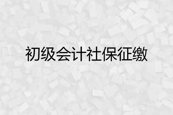 初级会计社保征缴