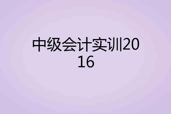 中级会计实训2016