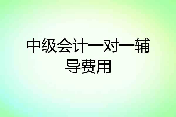 中级会计一对一辅导费用