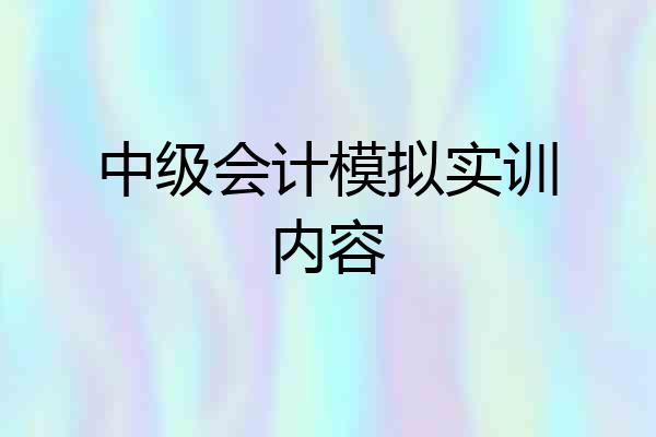 中级会计模拟实训内容