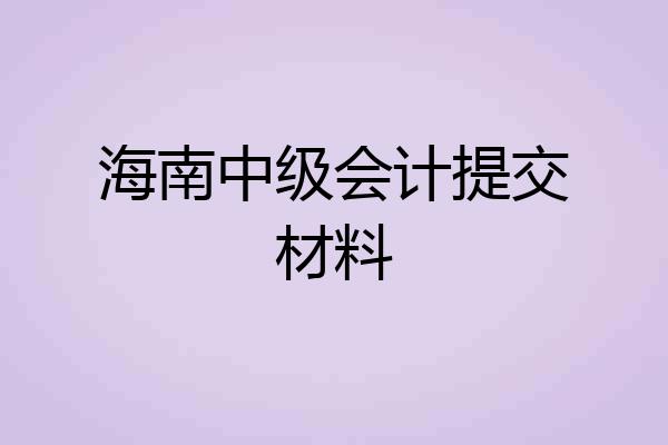 海南中级会计提交材料