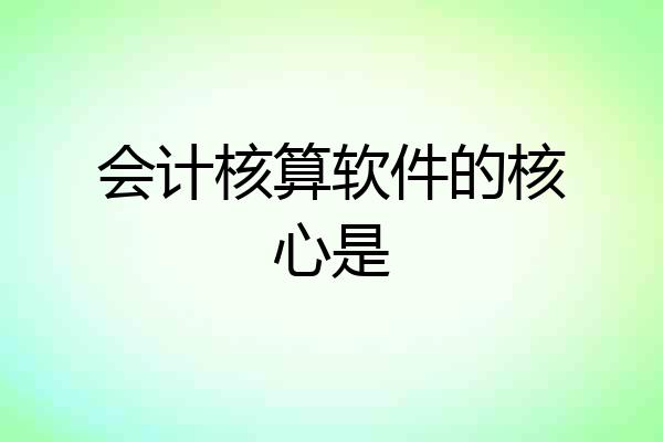 会计核算软件的核心是
