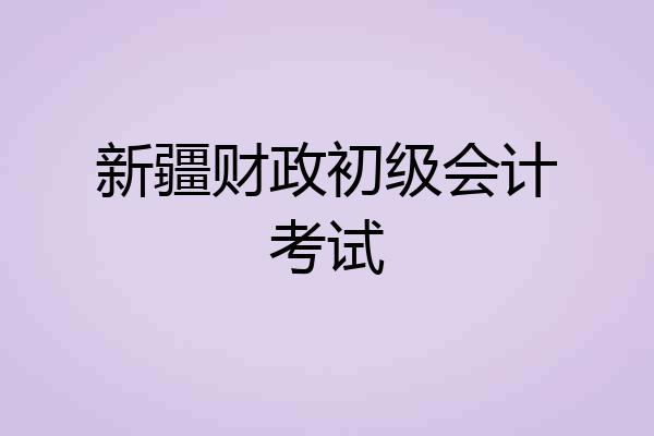 新疆财政初级会计考试