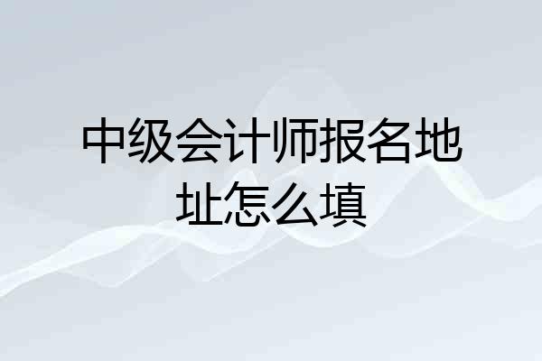 中级会计师报名地址怎么填