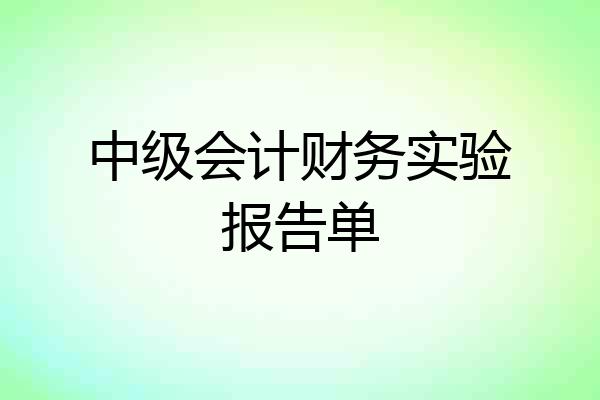 中级会计财务实验报告单