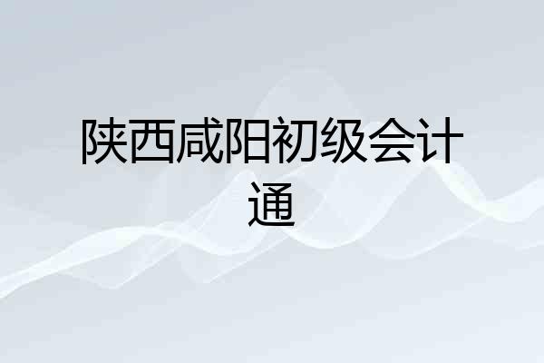 陕西咸阳初级会计通