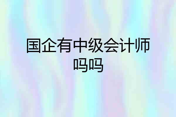 国企有中级会计师吗吗