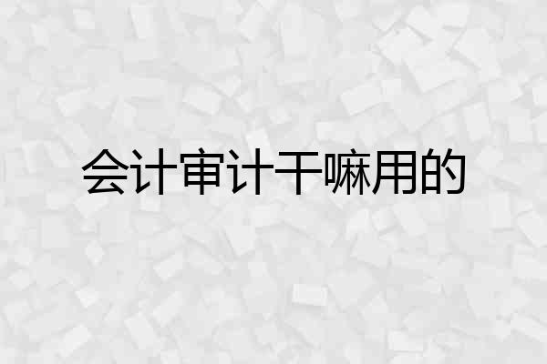 会计审计干嘛用的