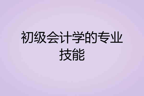 初级会计学的专业技能
