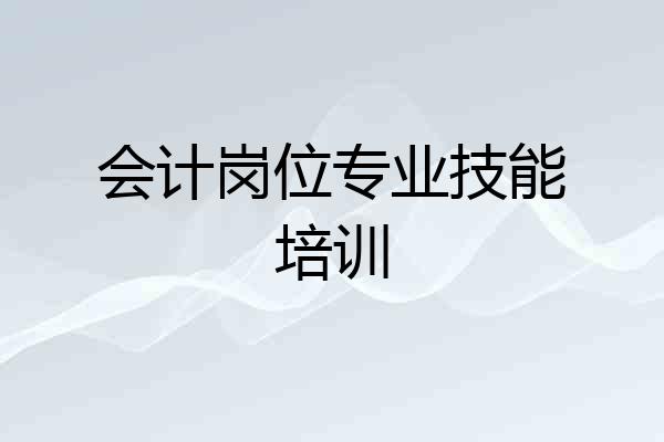 会计岗位专业技能培训