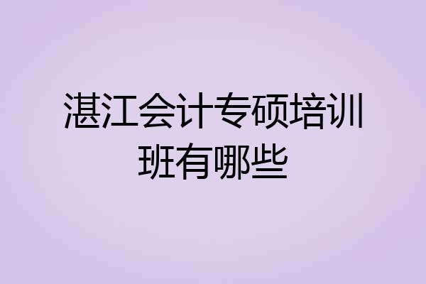 湛江会计专硕培训班有哪些