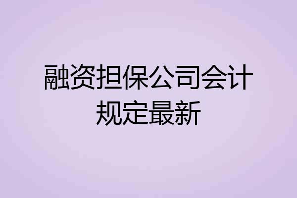 融资担保公司会计规定最新