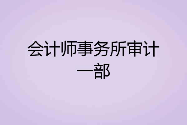 会计师事务所审计一部