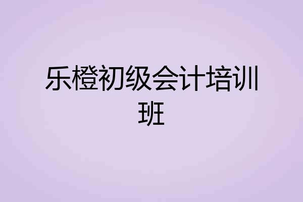 乐橙初级会计培训班