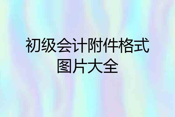 初级会计附件格式图片大全