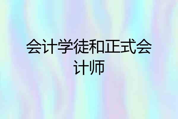 会计学徒和正式会计师