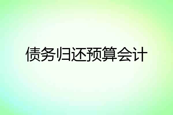 债务归还预算会计