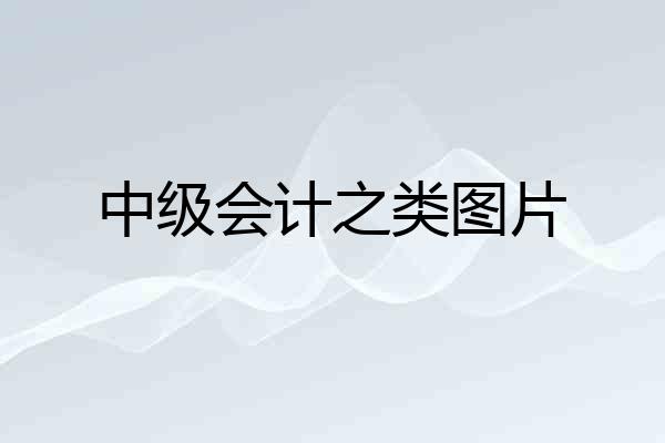 中级会计之类图片