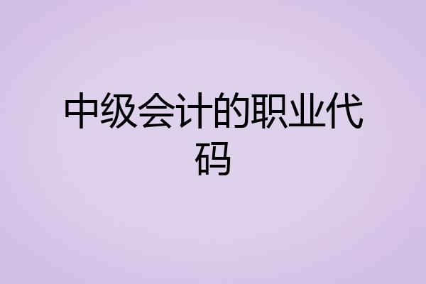 中级会计的职业代码