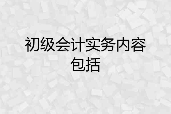 初级会计实务内容包括
