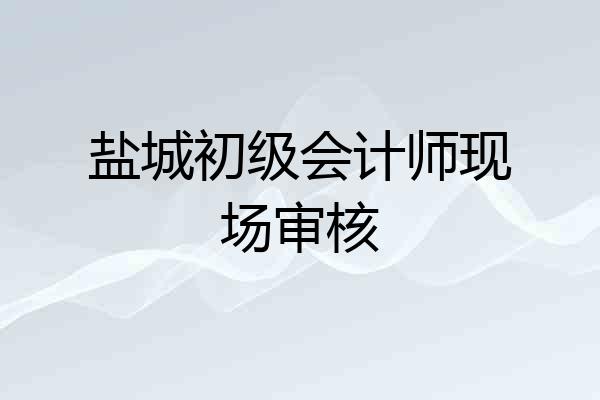 盐城初级会计师现场审核