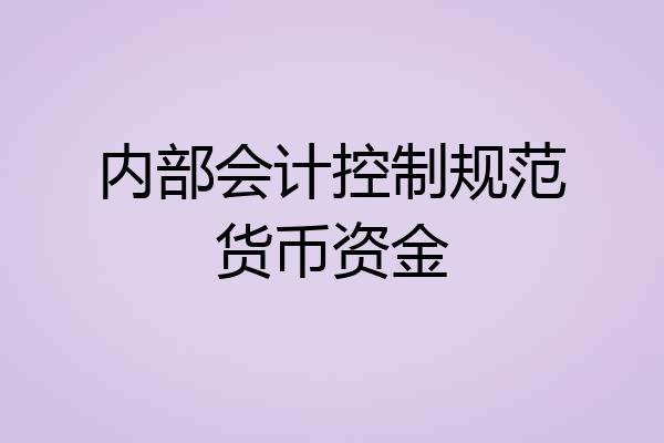内部会计控制规范货币资金