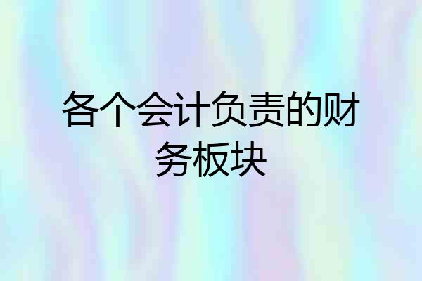 各个会计负责的财务板块