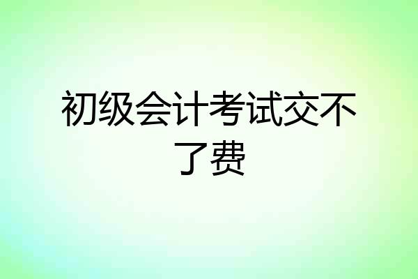 初级会计考试交不了费