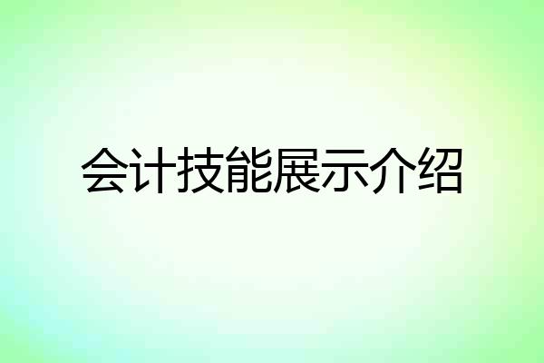 会计技能展示介绍