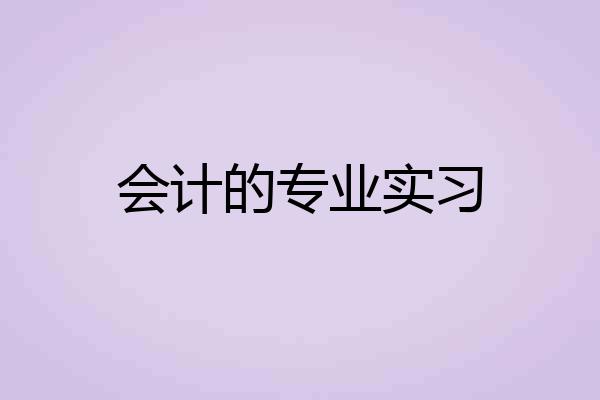 会计的专业实习