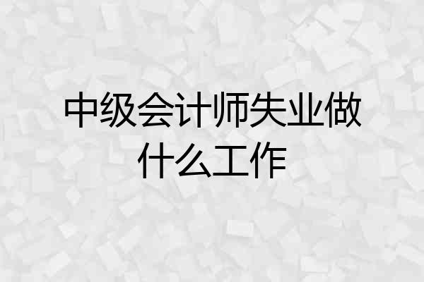 中级会计师失业做什么工作