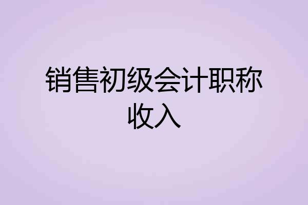 销售初级会计职称收入
