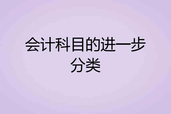 会计科目的进一步分类