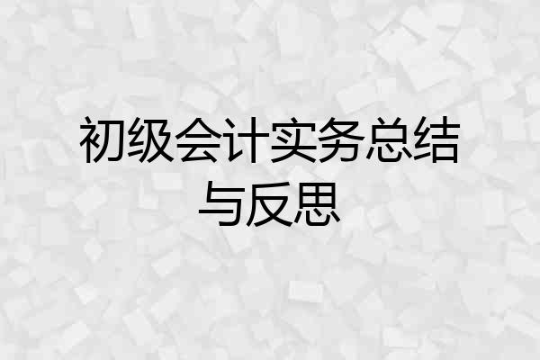 初级会计实务总结与反思