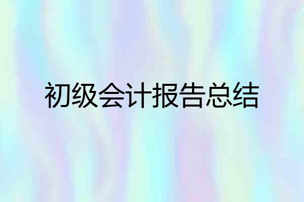 初级会计报告总结
