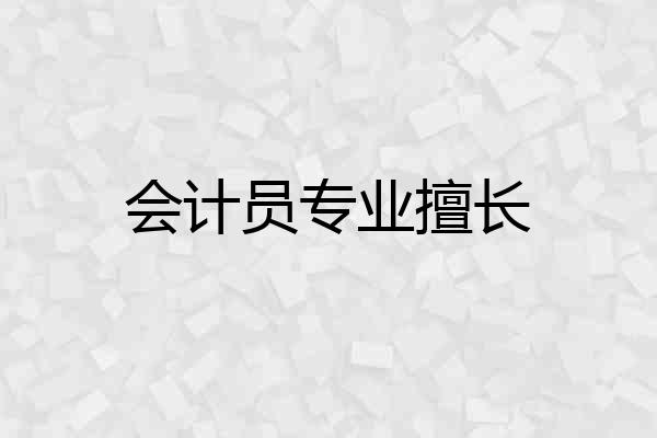 会计员专业擅长