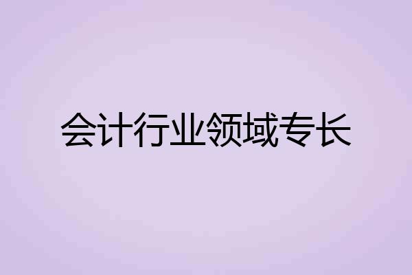 会计行业领域专长