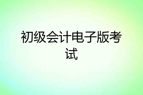 初级会计电子版考试