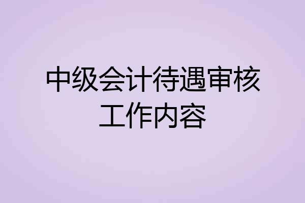 中级会计待遇审核工作内容